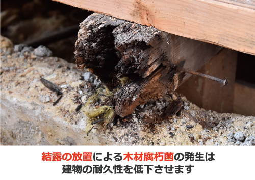 結露の放置による木材腐朽菌の発生は建物の耐久性を低下させます