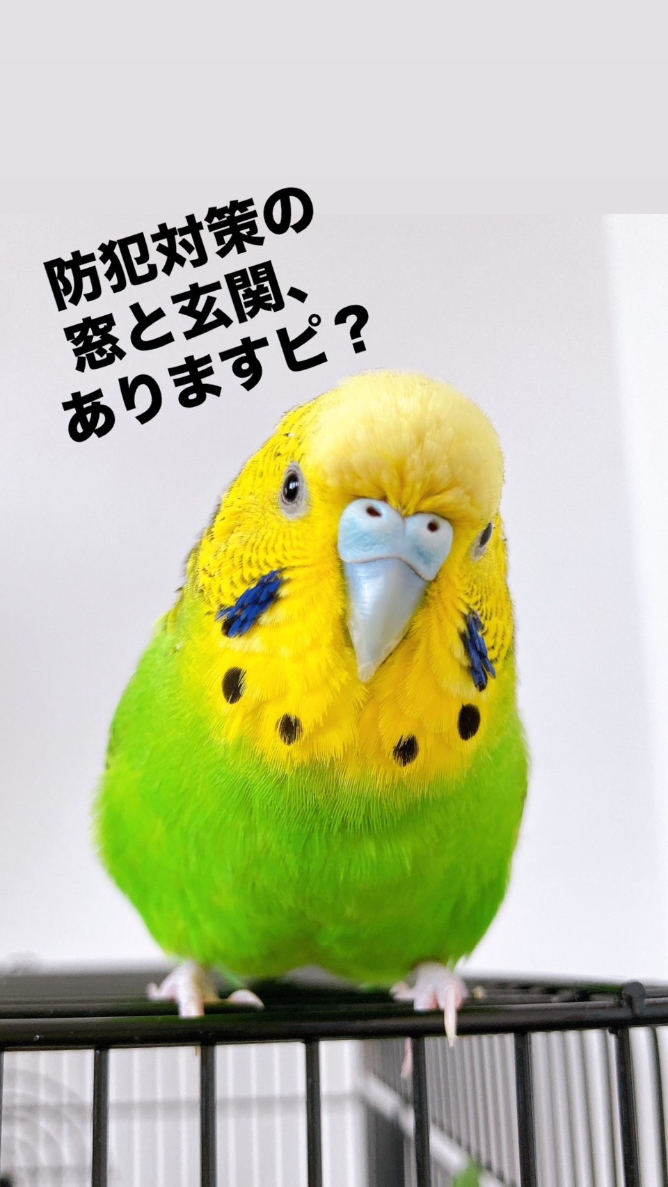 防犯対策も万全！神戸市）））最新の玄関ドア事情とは