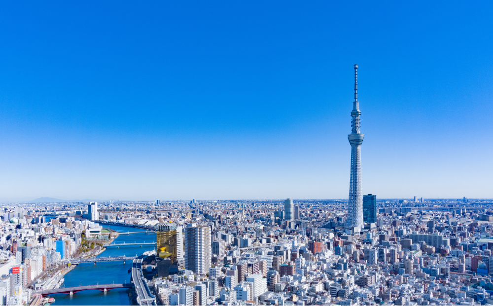 東京スカイツリーと東京都を俯瞰した全景写真