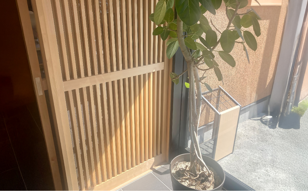 玄関引戸のアプローチポーチ