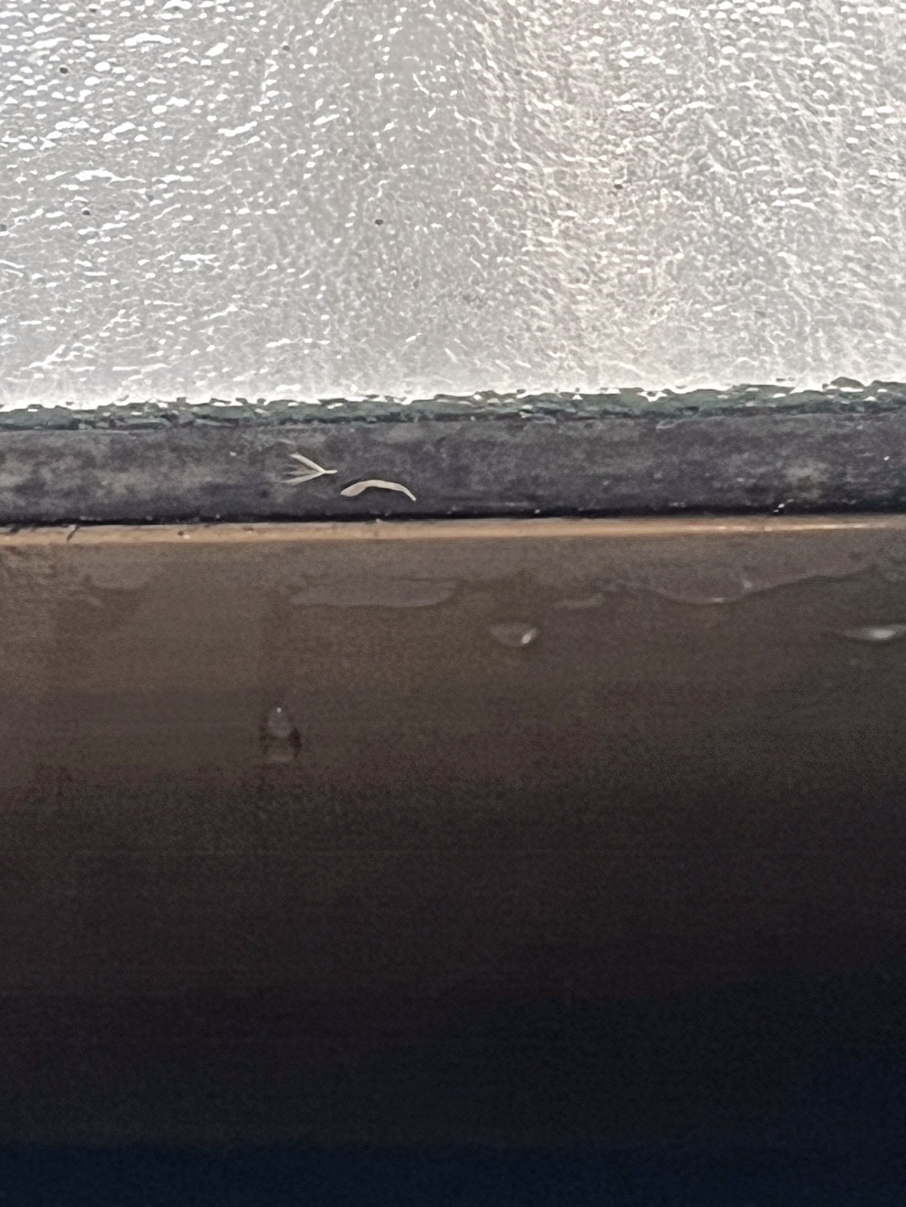 日高市の皆さま、25日から今季最強・最長寒波が襲来！結露・冷気・スキマ風…玄関と窓の断熱で冬の悩みを根本改善する方法💧🧊🌬️